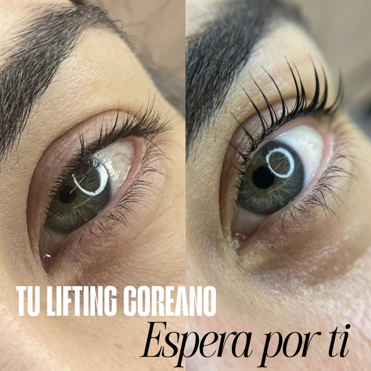 Lifting de pestañas coreano Banhada en Medellín — resultado 2