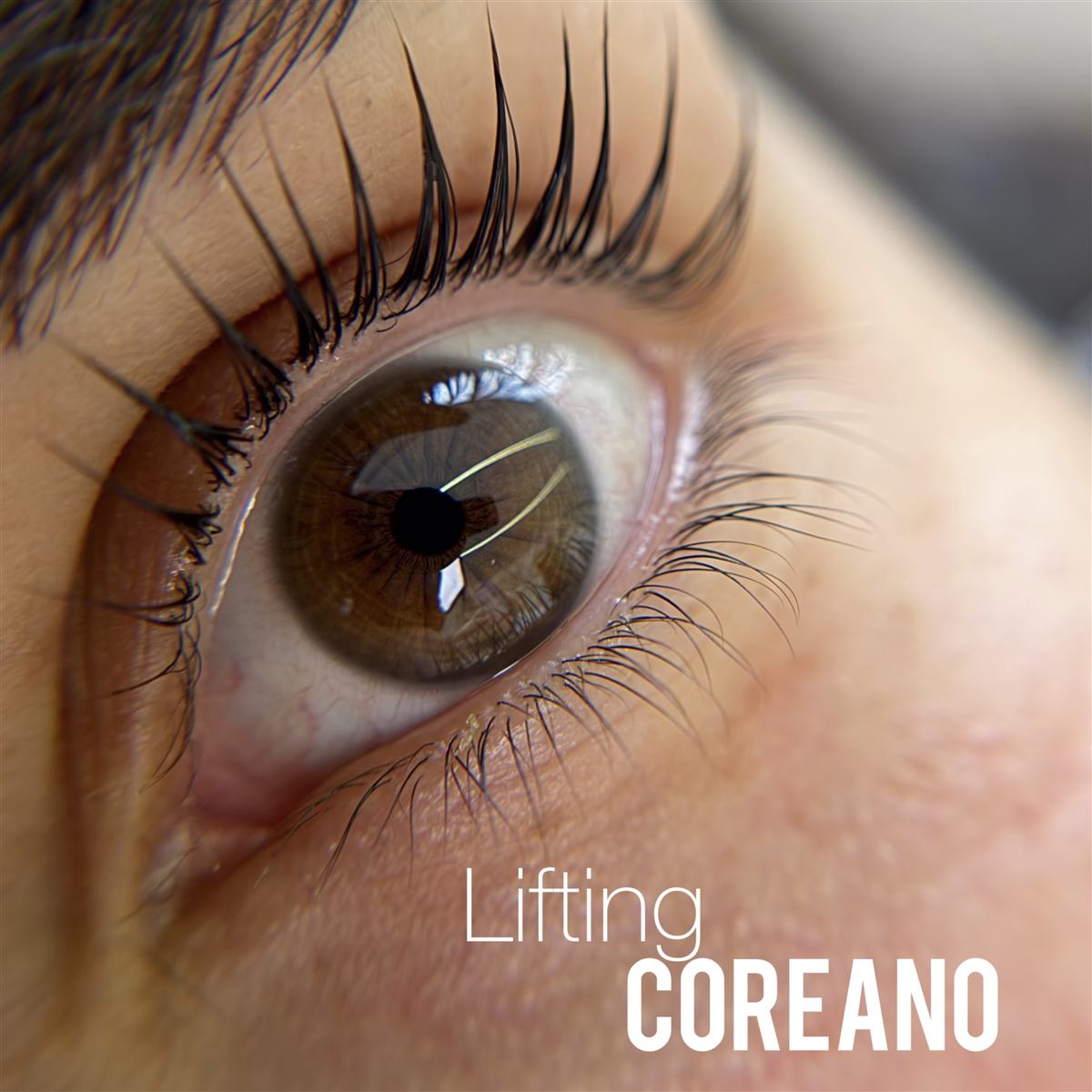 Lifting de pestañas coreano Banhada en Medellín — resultado 5
